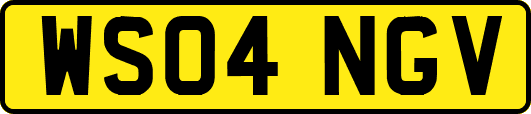 WS04NGV