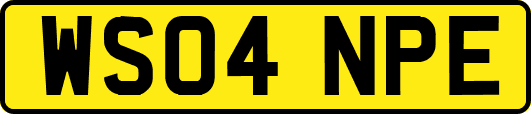 WS04NPE
