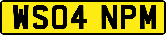 WS04NPM