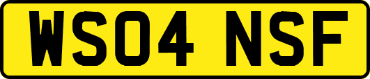WS04NSF