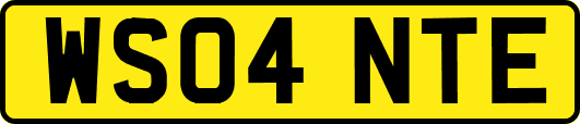WS04NTE
