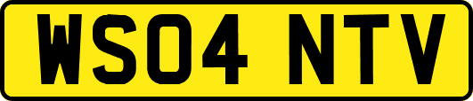 WS04NTV