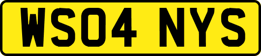 WS04NYS