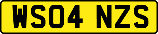 WS04NZS