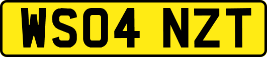 WS04NZT