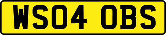 WS04OBS
