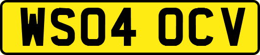 WS04OCV