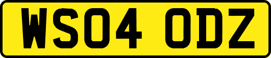 WS04ODZ