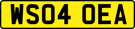 WS04OEA