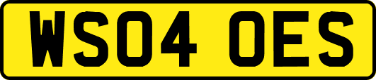 WS04OES