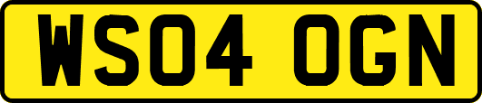 WS04OGN