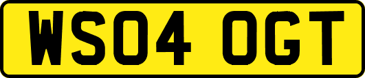WS04OGT