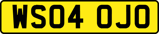 WS04OJO