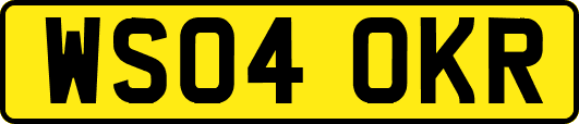 WS04OKR