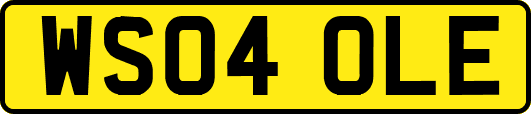 WS04OLE