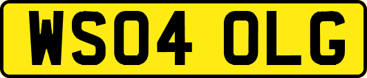 WS04OLG