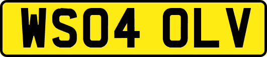 WS04OLV