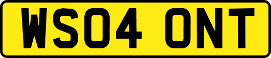 WS04ONT