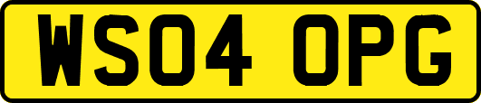 WS04OPG