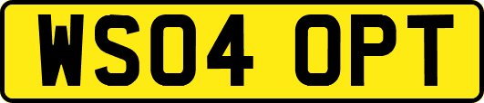 WS04OPT