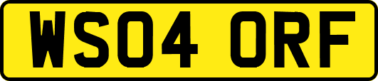 WS04ORF