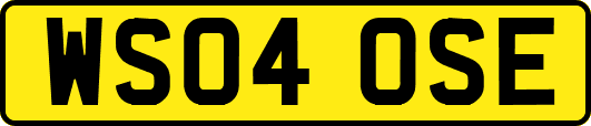 WS04OSE