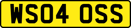 WS04OSS