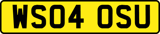 WS04OSU