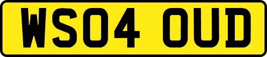 WS04OUD