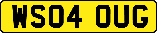WS04OUG