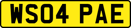 WS04PAE