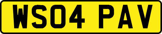 WS04PAV