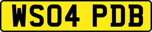 WS04PDB