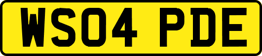 WS04PDE