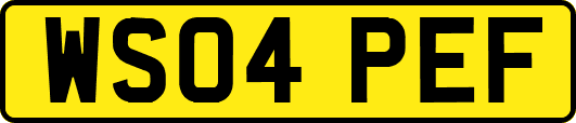 WS04PEF
