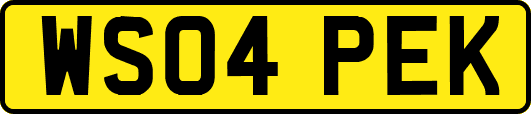 WS04PEK