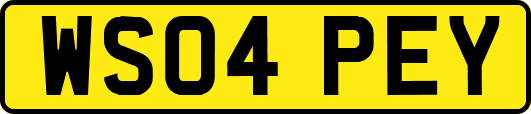 WS04PEY