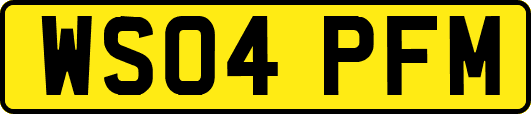 WS04PFM