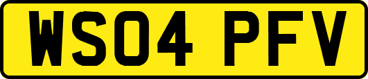 WS04PFV