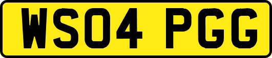 WS04PGG