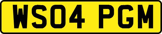 WS04PGM