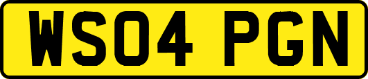 WS04PGN