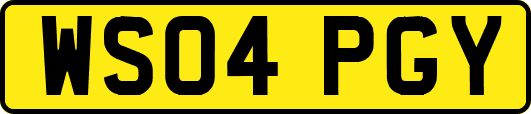 WS04PGY