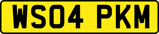 WS04PKM