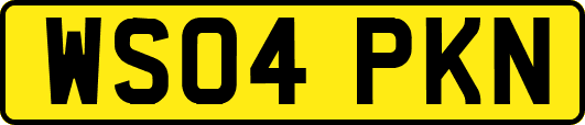 WS04PKN