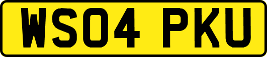WS04PKU