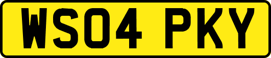 WS04PKY