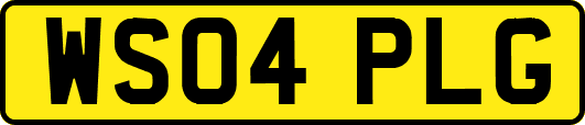 WS04PLG