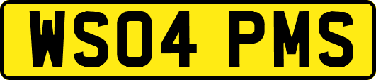 WS04PMS