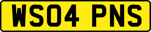 WS04PNS